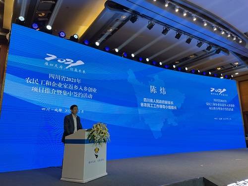 创业投资小有什么项目？