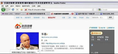 什么叫浏览器？