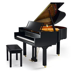 钢琴品牌排行榜前十名,钢琴品牌排行榜及价位