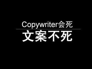 cc是什么单词的缩写,CC抄送