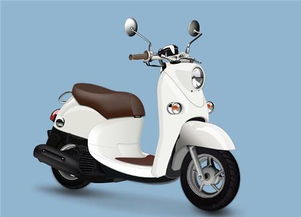 什么牌子的电动车好