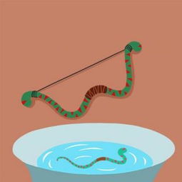 杯弓蛇影的寓意是什么