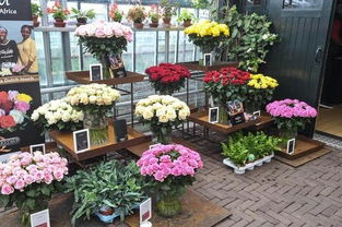 开个花店需要多少钱,开花店一般要投资多少钱?