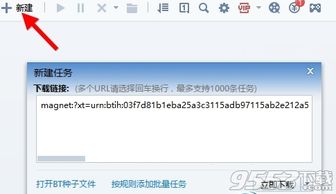 迅雷前缀是什么意思