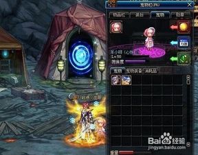 DNF里的宠物怎么得到