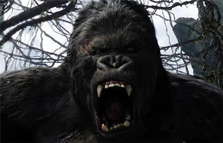 猩猩队长玩具,猩猩队长动画片叫什么名字