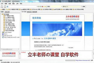 关于编程的软件
