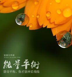 魔兽世界7.0能量的平衡任务怎么做?