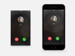 phone number怎么读的,phone info