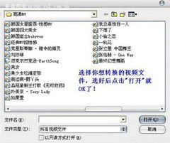 手机视频转换器