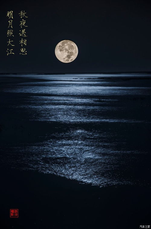 但愿人长久 千里共婵娟是什么意思