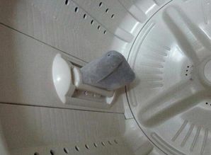 洗衣机的过滤网怎样清洗