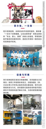 中国的大众文化有哪些