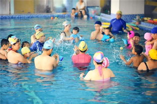 游泳俱乐部英语作文