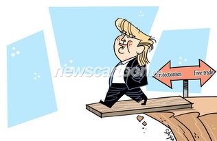 贸易保护是什么意思