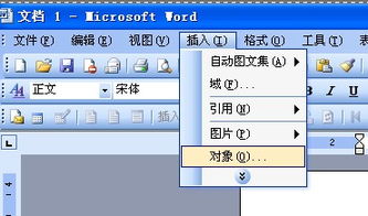 怎样在word中输入分数，要上下结构的