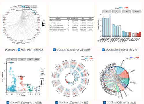 施工网络计划图采用什么软件编制
