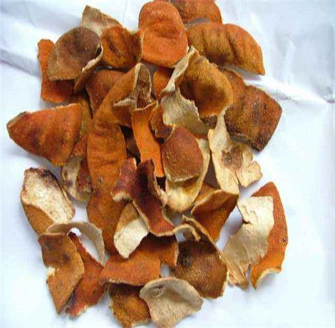 陈皮的功效与作用及禁忌的功效与作用茯苓