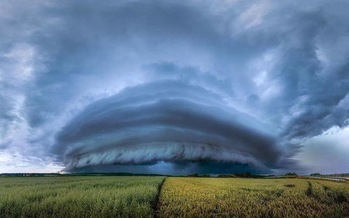 震撼的意思是什么呢