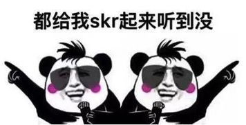 skirt怎么读,skr怎么读音