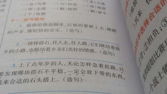 用像造句 二年级