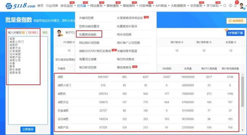 如何提升网站排名