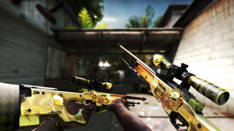 纪念品龙狙和普通的有什么区别