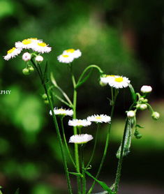今年立夏是几月几号