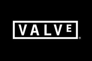 “Valve”是什么意思？