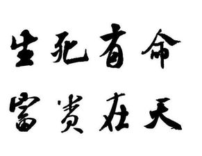 生死由命富贵在天是什么意思