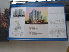 请问服务代理IP怎么设置为香港IP 我有路由器的,请