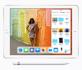 ipad壁纸尺寸是多少,iPad壁纸尺寸
