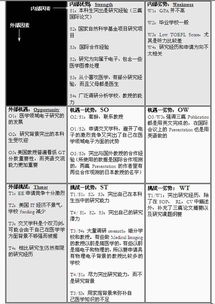 高中swot分析表格怎么做