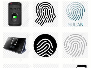 指纹打卡是什么