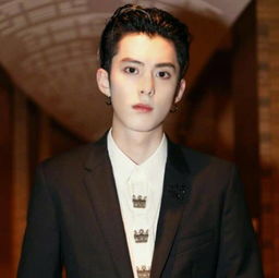 王鹤棣个人资料简介及家世，王鹤棣个人资料简介身高