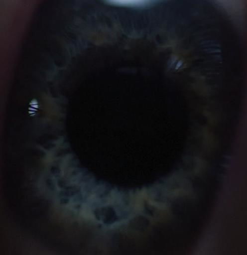 弥留之际的意思是什么？？？