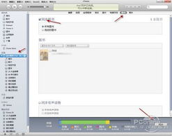 itunes新版本怎么同步