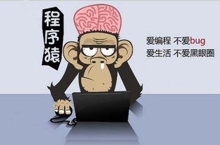 程序员节是几月几日