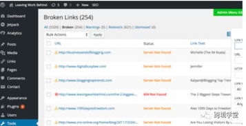 如何提升网站排名？