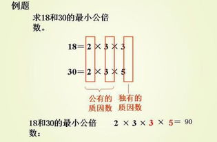 什么叫做互质数