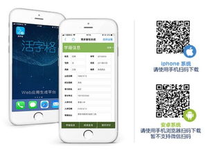 网站易用性,网站易用性和搜索引擎友好性是什么关系
