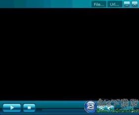 flv文件用什么播放器，怎么打开