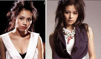 中国娱乐圈内的所有的明星夫妻