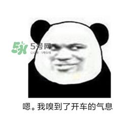 老司机什么意思