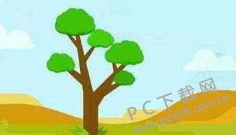 蚂蚁森林有什么作用