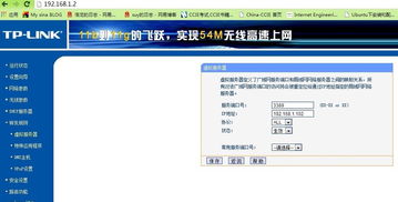 外网 佟丽娅,外网怎么上