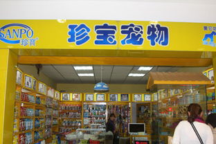 开宠物店投资多少钱,现在开宠物店赚钱吗