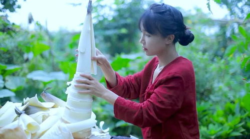 李子柒视频为什么那么多人关注喜欢，可以说还具有