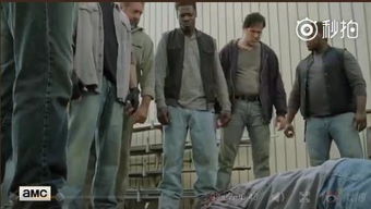 行尸走肉第七季在线观看,行尸走肉第七季 网盘
