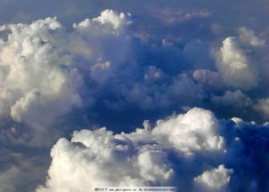 谁知道，乌云网怎么打不开了